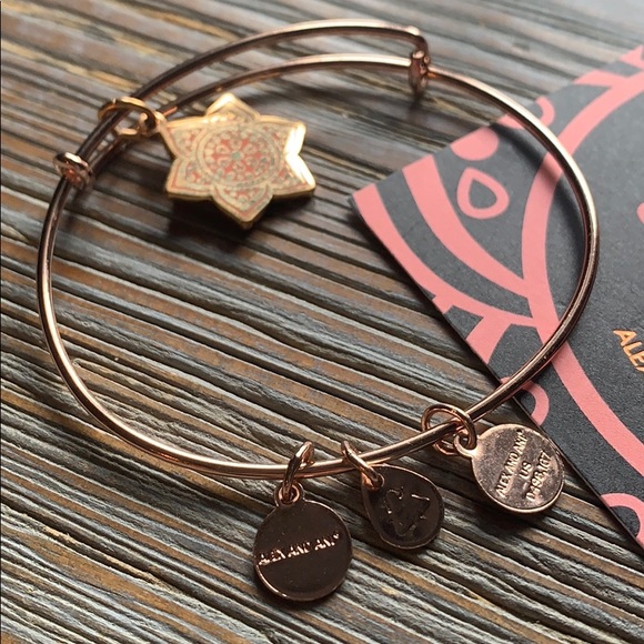Alex and Ani Bracelet - Picture 1 of 6